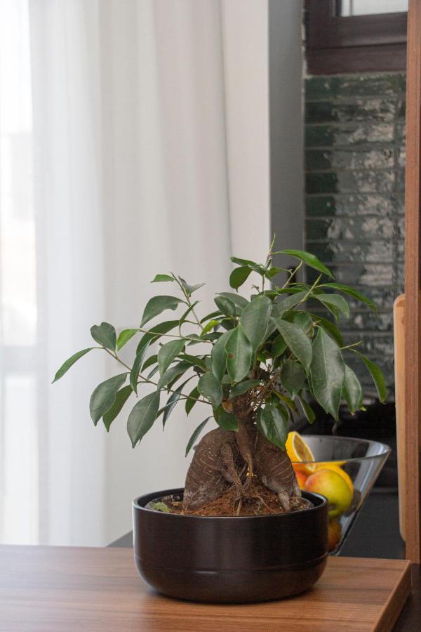 Apartament Artisan'S Dwelling Belgrad Zewnętrze zdjęcie